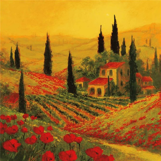 Poppies of Toscano II - Cuadrostock