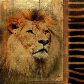 Elegant Safari IV - Lion - Cuadrostock