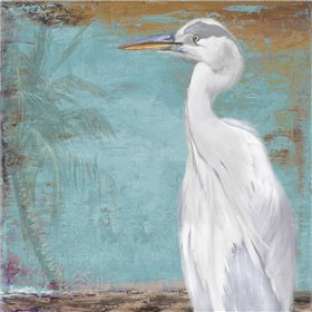 Tropic Heron II - Cuadrostock