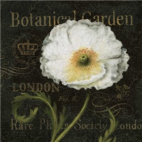 Botanical Garden II - Cuadrostock