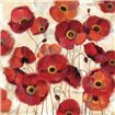 Bold Poppies - Cuadrostock