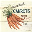 Farm Fresh Carrots - Cuadrostock