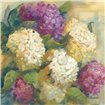 Cuadro para dormitorio - Hydrangea Delight II - Cuadrostock