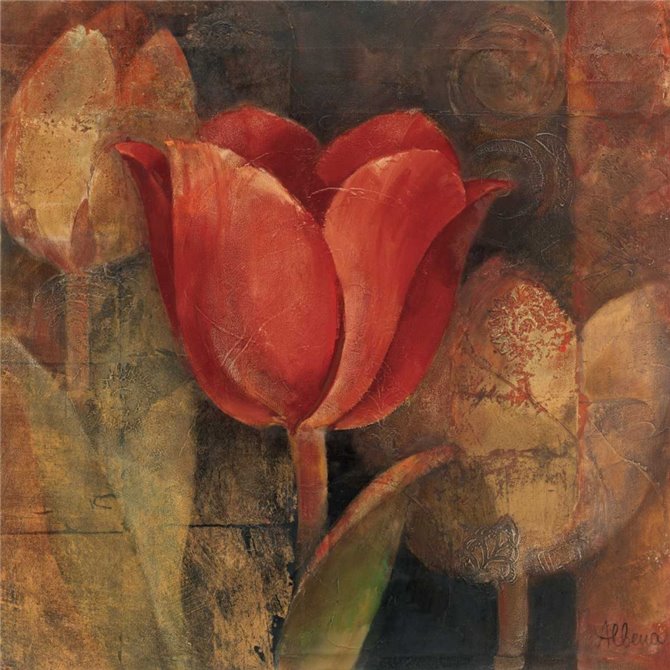 Tulip Reflection - Cuadrostock