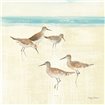 Sandpipers Square I - Cuadrostock