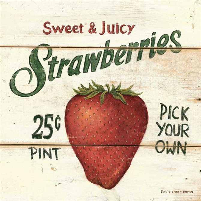 Sweet and Juicy Strawberries - Cuadrostock