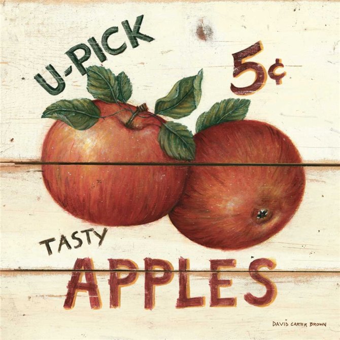 U-Pick Apples - Cuadrostock