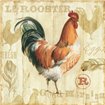 Joli Rooster IC - Cuadrostock