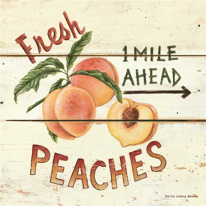 Fresh Peaches - Cuadrostock