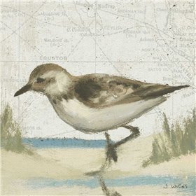 Beach Bird IV - Cuadrostock