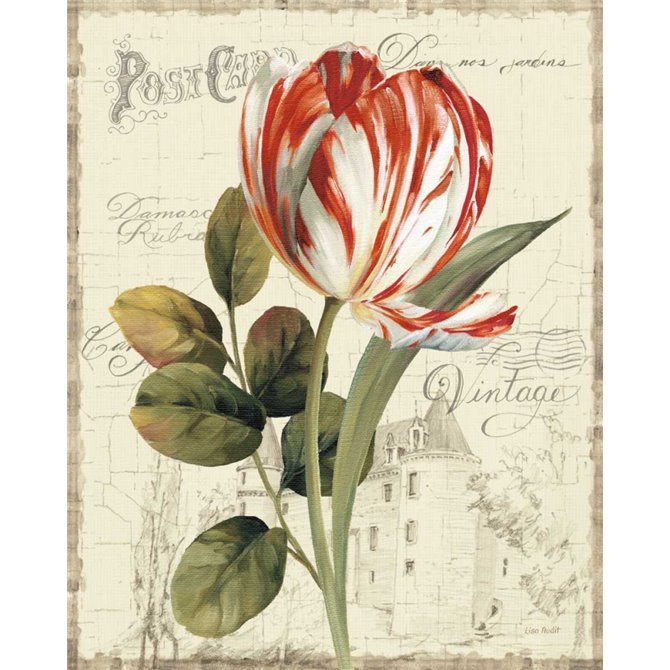 Garden View II - Red Tulip - Cuadrostock