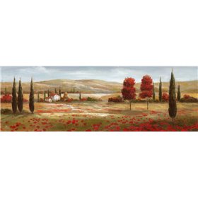 Tuscan Poppies II - Cuadrostock