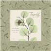 Tranquility on Green Damask - Cuadrostock