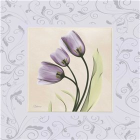 Purple Tulips on Purple Damask - Cuadrostock