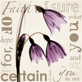 Cuadro para dormitorio - Faith - Violet Tulips - Cuadrostock