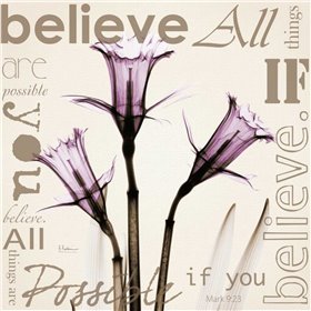 Believe - Violet Daffodils - Cuadrostock