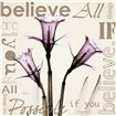 Believe - Violet Daffodils - Cuadrostock