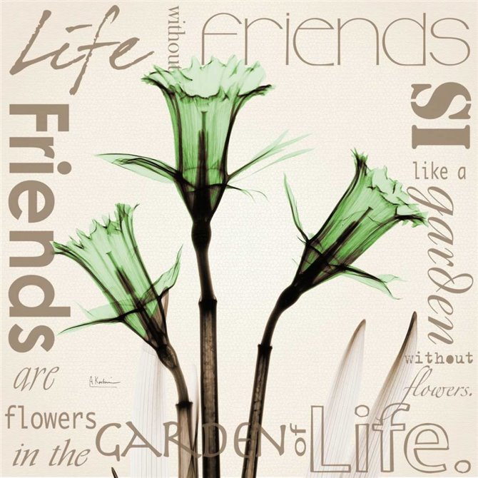 Daffodil Life - Cuadrostock