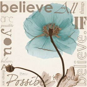 Believe - Blue Poppy - Cuadrostock