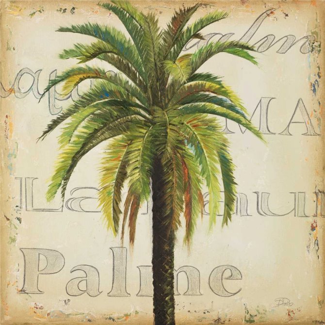 La Palma III - Cuadrostock