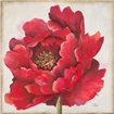 Red Peony - Cuadrostock