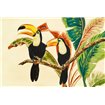 Tropical Toucans I - Cuadrostock