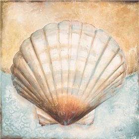 Seashell Collection III - Cuadrostock