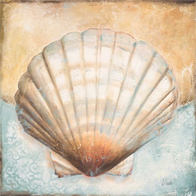 Seashell Collection III - Cuadrostock