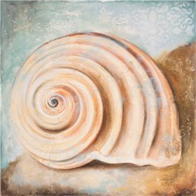 Seashell Collection IV - Cuadrostock