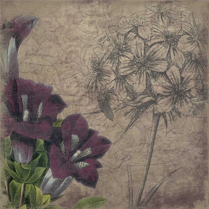 Floral outline1 - Cuadrostock