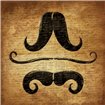 Stache Gold 2 - Cuadrostock