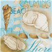 Collaged Shells - Cuadrostock