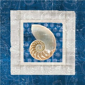 Sea Shell II on Blue  - Cuadrostock