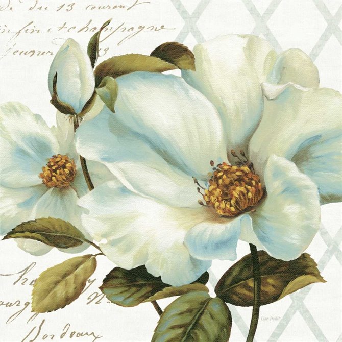White Floral Bliss II - Cuadrostock
