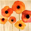 Cuadro para dormitorio - Orange Poppies II - Cuadrostock