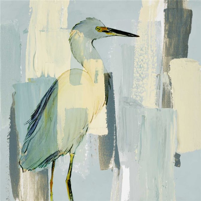 Sorrowing Egret - Cuadrostock