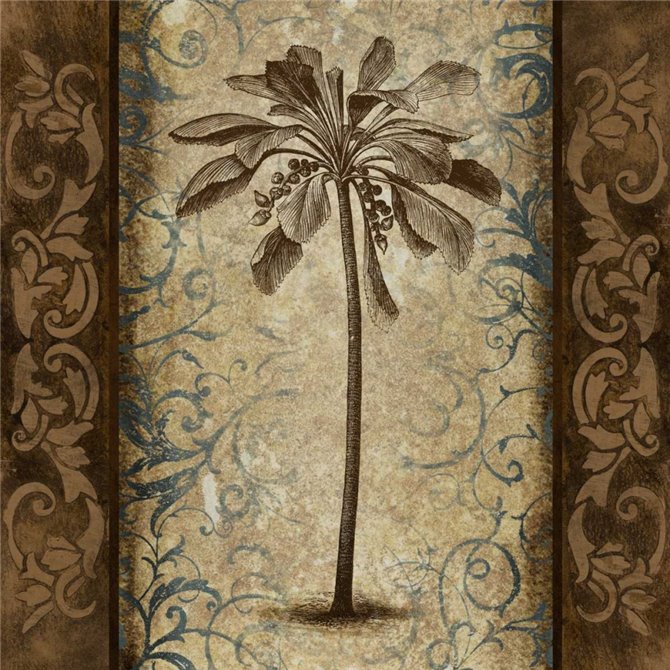 Palm Square II - Cuadrostock