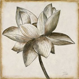 Sepia Lotus I - Cuadrostock