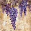 Cuadro para dormitorio - Wisteria Bloom II - Cuadrostock