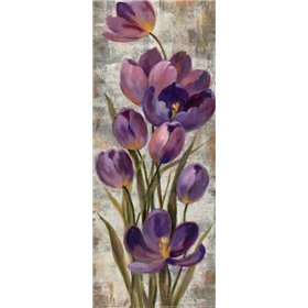 Royal Purple Tulips I - Cuadrostock
