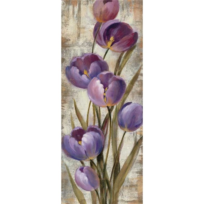 Royal Purple Tulips II - Cuadrostock