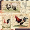 Rooster Farm II - Cuadrostock