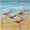 Sandpipers I - Cuadrostock