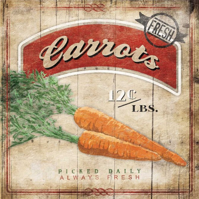 Carrots - Cuadrostock