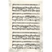 Music Sheet Cream - Cuadrostock