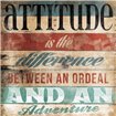 Attitude - Cuadrostock