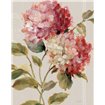 Harmonious Hydrangeas Linen - Cuadrostock