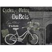 Paris Bike on Chalk Border II - Cuadrostock