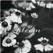 Bloom - Cuadrostock