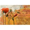 Poppies Composition I - Cuadrostock